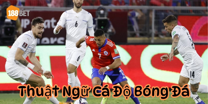 Thuật ngữ cá độ bóng đá đơn giản