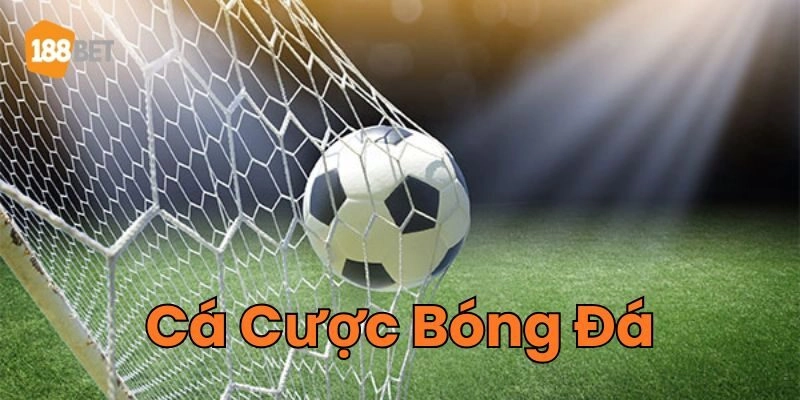 Giới thiệu về Cá Cược Bóng Đá 